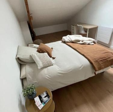 Appartement proposant 4 Chambres en coliving ou appartement complet calme en plein centre ville