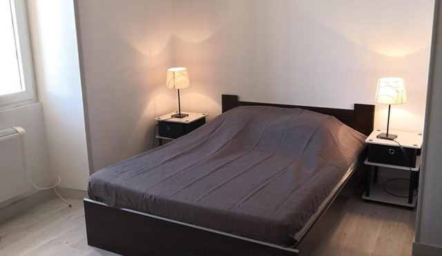 Appartement rénové face aux Thermes, wifi, animaux OK, cour privée, pour 3/4 pers. à La Roche-Posay - FR-1-541-36