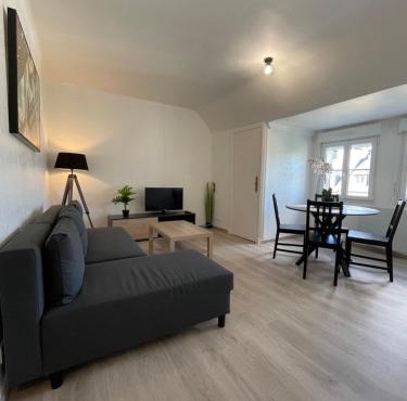 Appartement rénové tout équipé, centre ville, proche de la gare et commerce