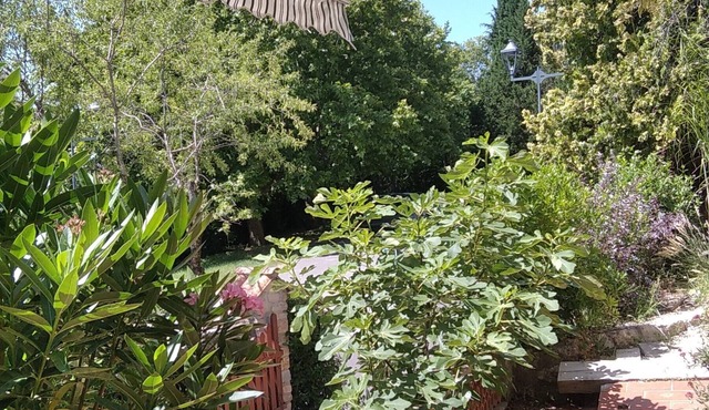 Appartement Rénové 2023 au rdv de la Villa