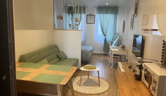 Appartement Refait à Neuf , Centre-ville