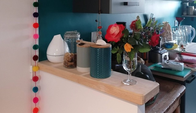 Appartement Refait à Neuf, Lumineux, Traversant, Spacieux et Climatisé Climatisé
