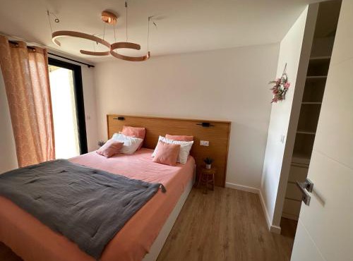 Appartement ROSE, Aéroport ST EXUPERY, Groupama stadium, Eurexpo, LDLC Arena