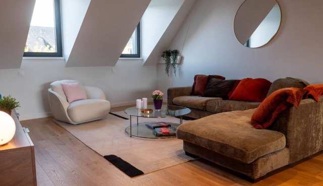 Appartement Spacieux Centre Ville