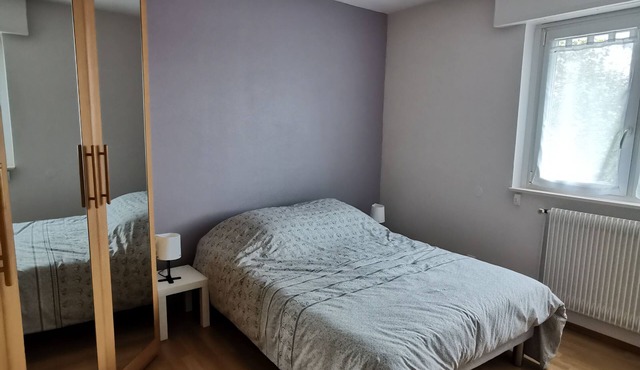 Appartement Spacieux ,calme et Proche du Centre. Idéal Pour Visiter L'alsace