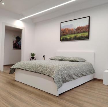 Appartement spacieux, centre d'Arbois