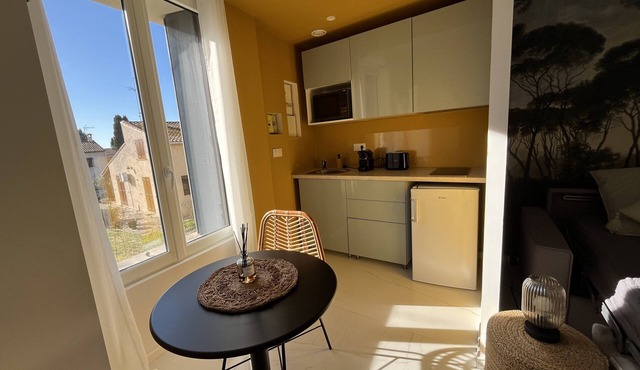 Appartement Studio Dans Mas en Pierre Rénové