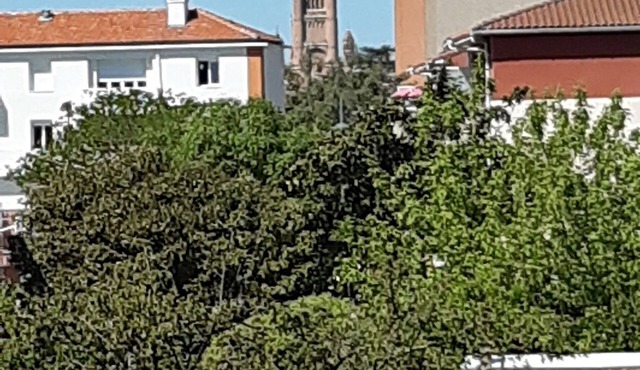 Appartement T1 a 1km a Pied du Centre Ville d' Albi Pour 2 Personnes