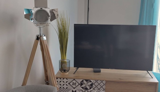 Appartement T1 L'escapade Roanne Centre