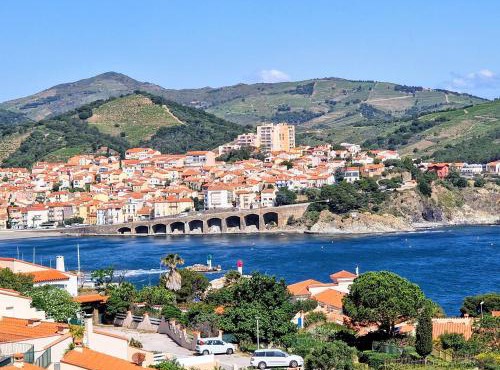 Appartement T2 à Banyuls-sur-Mer avec Wifi et Parking - FR-1-309-30