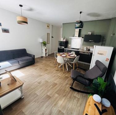 Appartement T2 cosy au centre du puy en velay