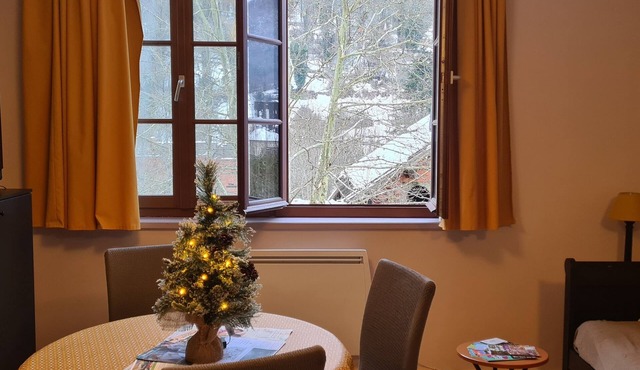 Appartement T2 Le Porteur de Glace Dans Résidence du Grand Hôtel