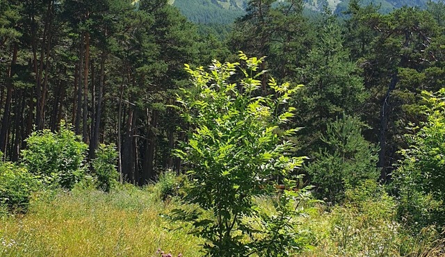 Appartement t2 Station Saint Jean Montclar