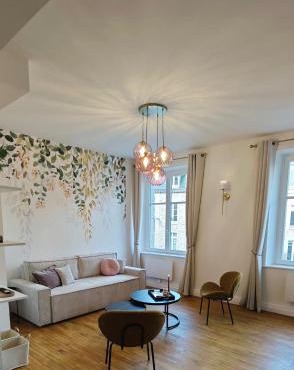 Appartement T3 centre ville Parking