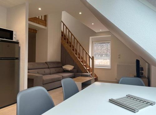 Appartement T3 Duplex centre ville