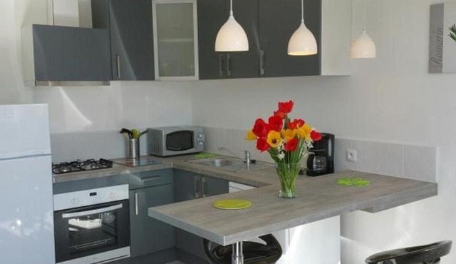 Appartement T3 en Centre-Ville de La Roche-Posay avec Terrasse, Piscine et Parking - FR-1-541-75