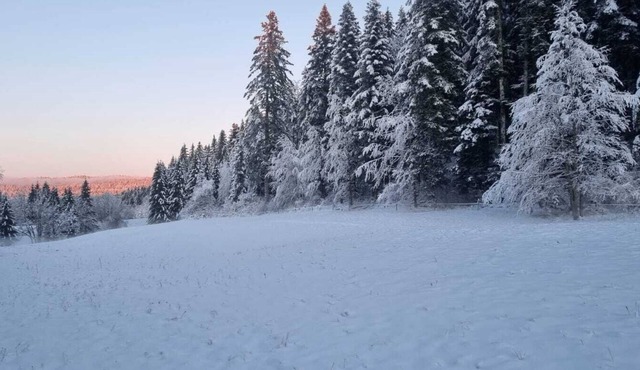Appartement T3 de 60 m² au Cœur du Haut-jura