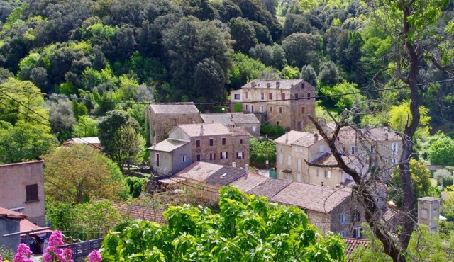 Appartement T3 Montagne Proche mer