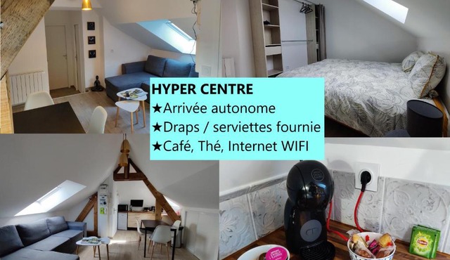 Appartement T3 "YUCA" Hyper centre d'ERNÉE