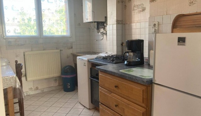 Appartement Très Lumineux, CHU - Stade Gaston Gérard