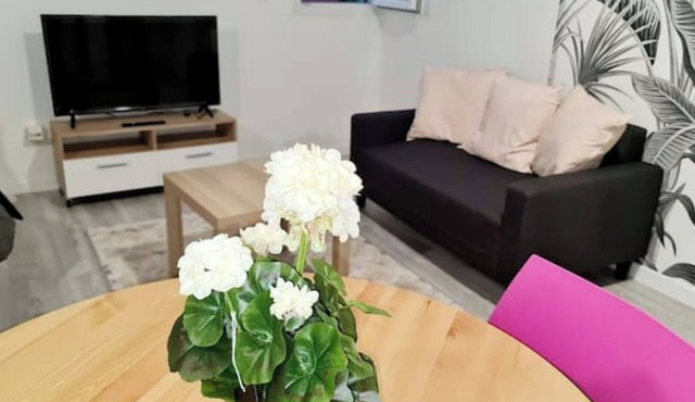 Appartement Très Lumineux et Calme