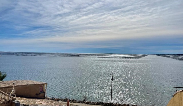 Appartement VUE SUR LA Lagune DE Thau. Linge DE Maison Fourni, Animaux Acceptes
