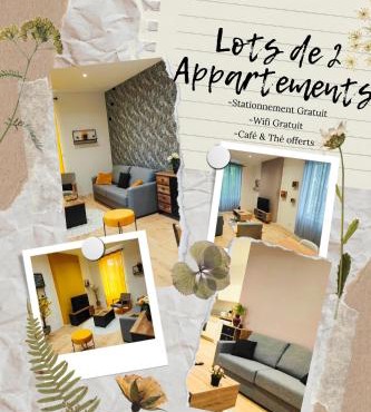 Appartements à thème