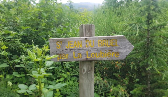 Appartements Coeur de Village