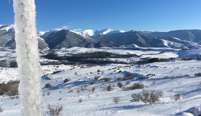 Appartements dans Chalet