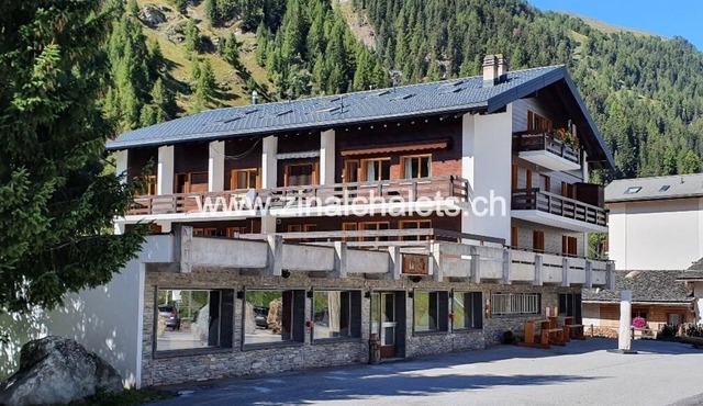Appartment in a building in Zinal - 2 beds in the living room - kitchen - 1 shower/WC - TV broadcast