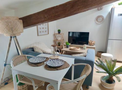 AppartZen proche Cité de Carcassonne et lac de la Cavayère