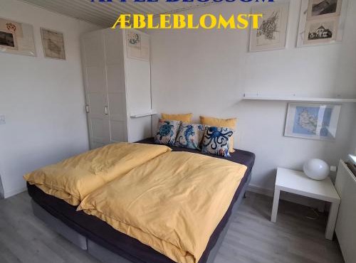 Apple Blossom Studio - near Rønne and Beach