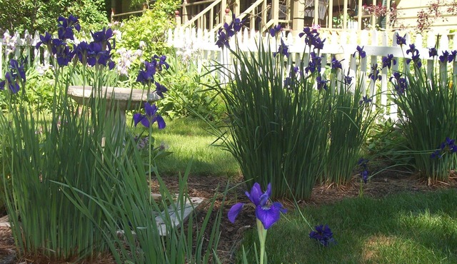 Apple Tree Lane Bed & Breakfast