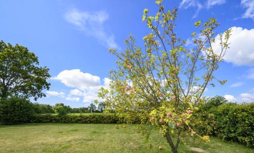 APPLEDOWN - Secluded Rural Retreat in Kingsdown, 10 mins to BEACH