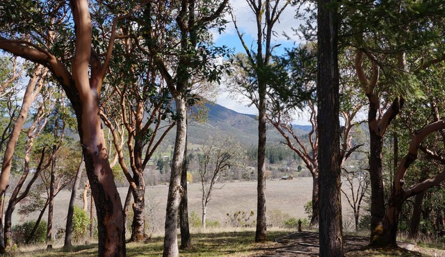 Applegate Valley Peaceful Cottage