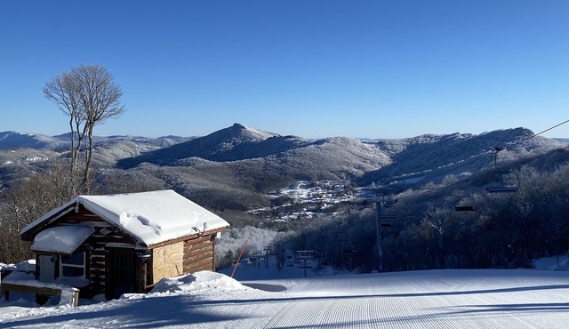 APPresSki - 5 bed Ski in Ski out - 50 Steps to Ski Sugar Mountain Slopes