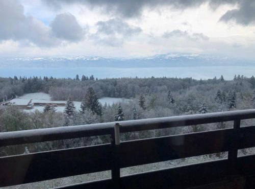 Appt 4-6 Pers. Vue lac face télécabine avec garage