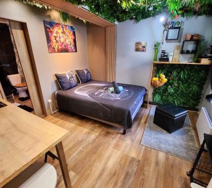 Appt Avengers à 10 minutes de Disneyland