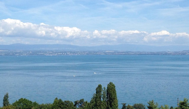 Appt F3 800m from Golf d'Evian, superb lake view in residence with swimming pool (4/6p)