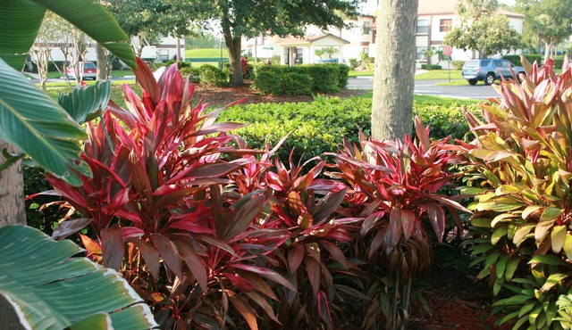 April 21-28.Sunny, Quiet .Main floor ,Gated, WiFi-GOLF-pools, downtown 15 min