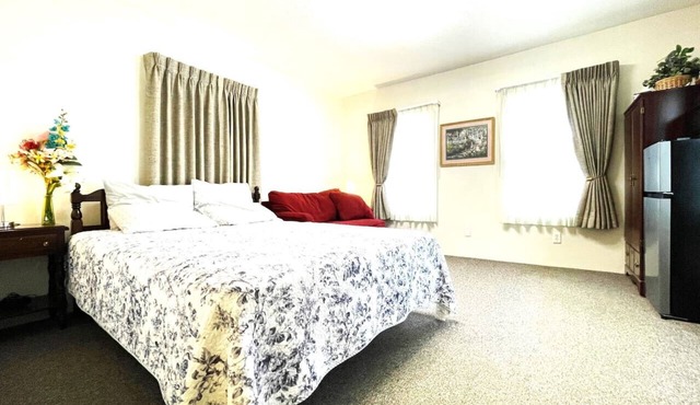 Apt. 3 - Ensuite Bath, Roku, Fridge/Micro, Queen