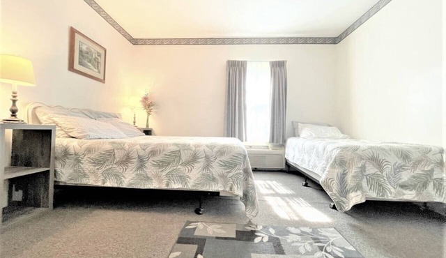 Apt. 4 - Ensuite Bath, Roku, Fridge/Micro, Queen
