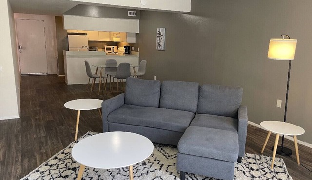 Apt B - 1bed/1bath furnished, private fenced patio in downtown Palm Springs!