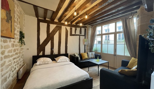 Apt de Charme Rue St André des Arts