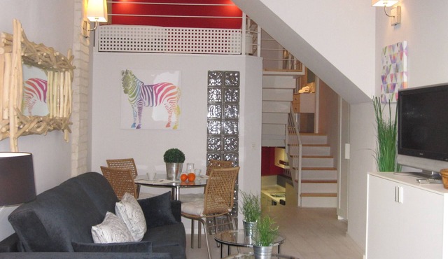 APT. IN SEVILLA CENTER. NEW, ORIGINAL LOFT. CHARMING. WIFI. 2 BEDROOMS