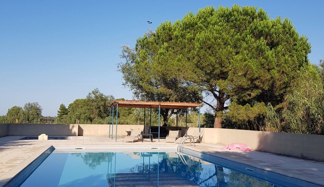 Apt near Aigues-Mortes air-conditioned and sea with pool