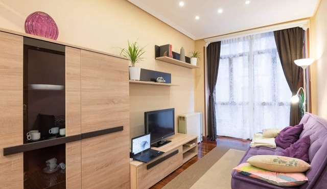 Apt old town in Artekale street, pedestrian, optional parking for a fee