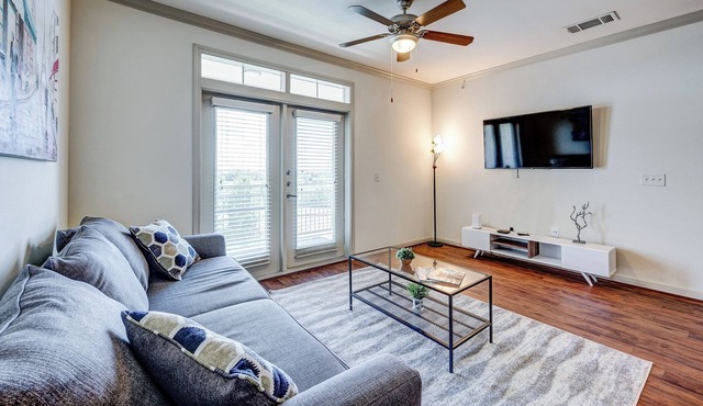 Apt W/lake View Near NRG Free Parking Pet Ok