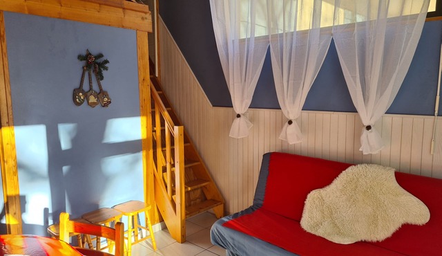 Apt with bright living room on ground floor 500 m from cable cars, thermal baths and St Lary village