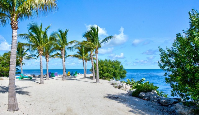 Aqua Lodge Rentals At Coconut Cay